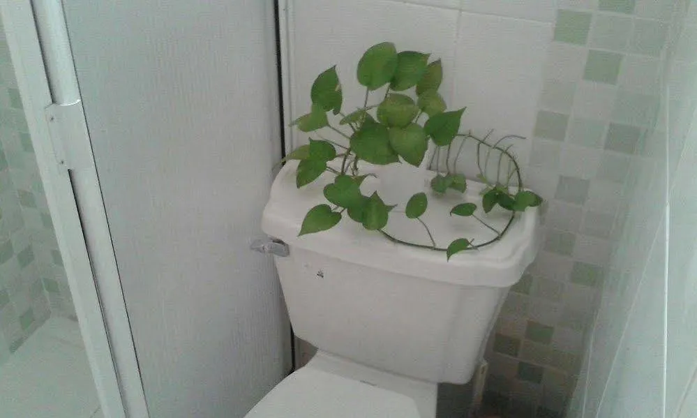 ***  Hotel Marie Real Cartagena Colombia